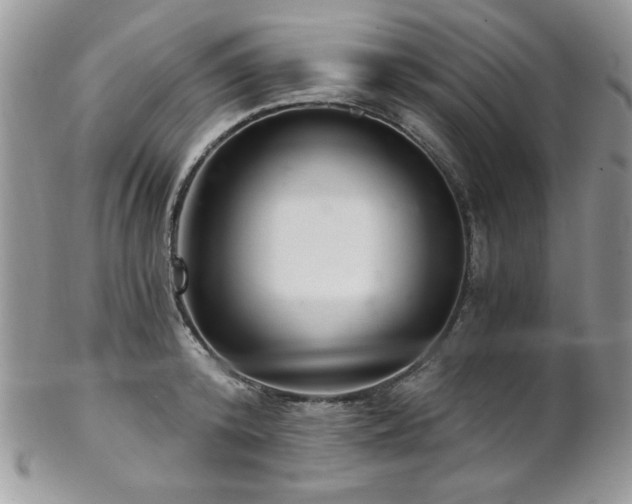X0000102800800200808181159