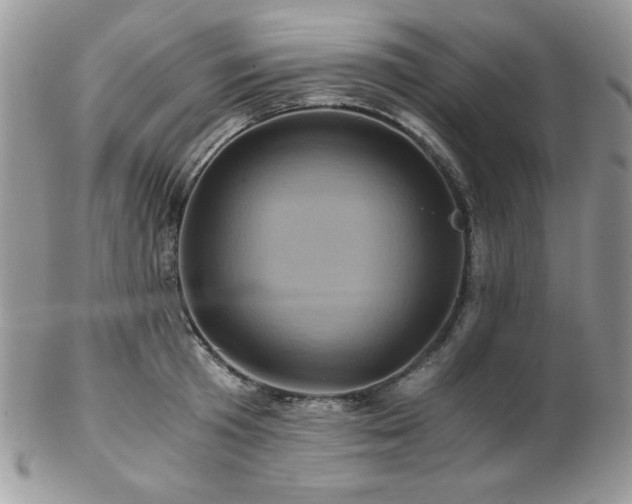 X0000102800801200808181159