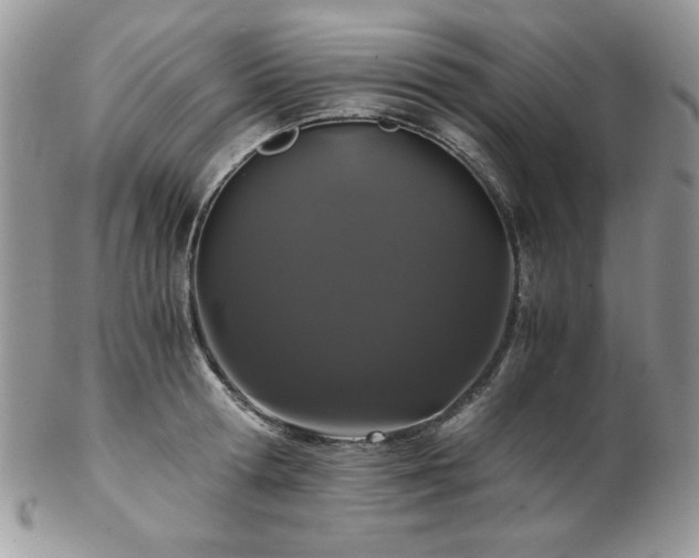 X0000102800802200808181159
