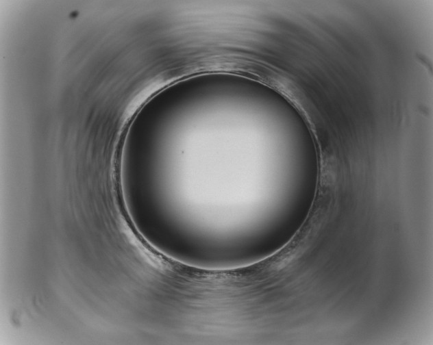 X0000102800803200808181159