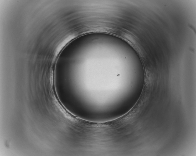 X0000102800804200808181159