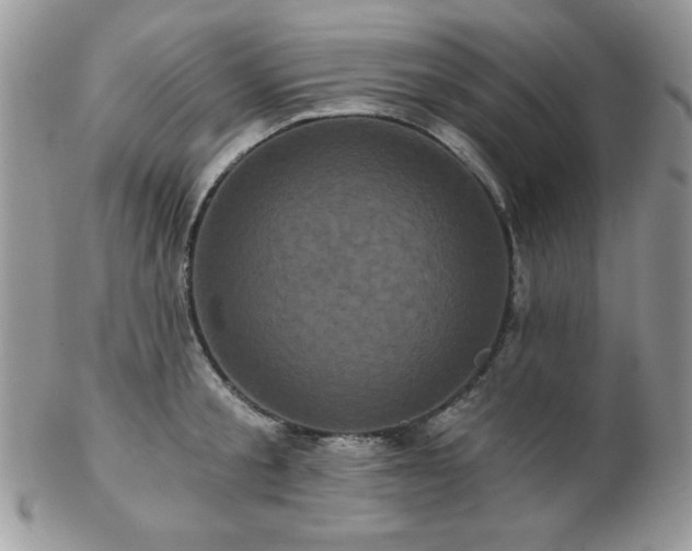 X0000102800805200808181159