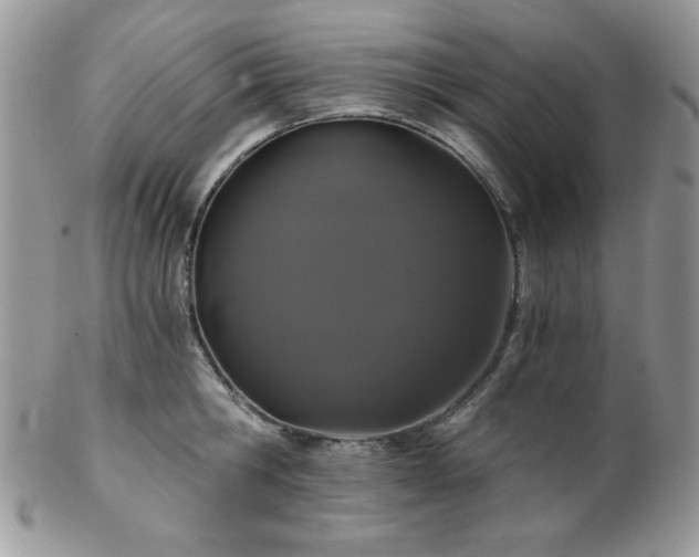 X0000102800806200808181159