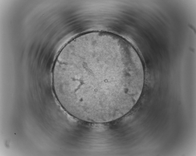 X0000102800807200808181159