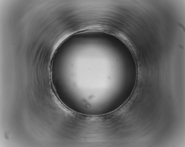 X0000102800808200808181159