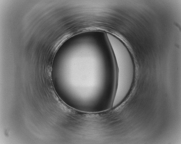 X0000102800809200808181159
