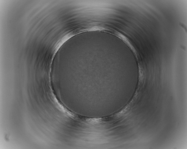 X0000102800810200808181159