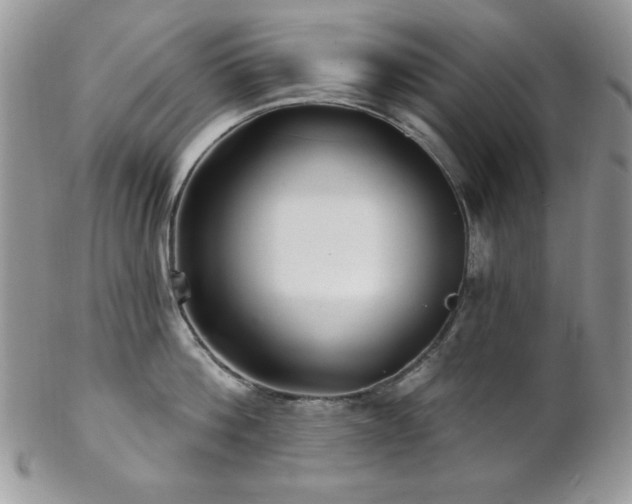 X0000102800812200808181159