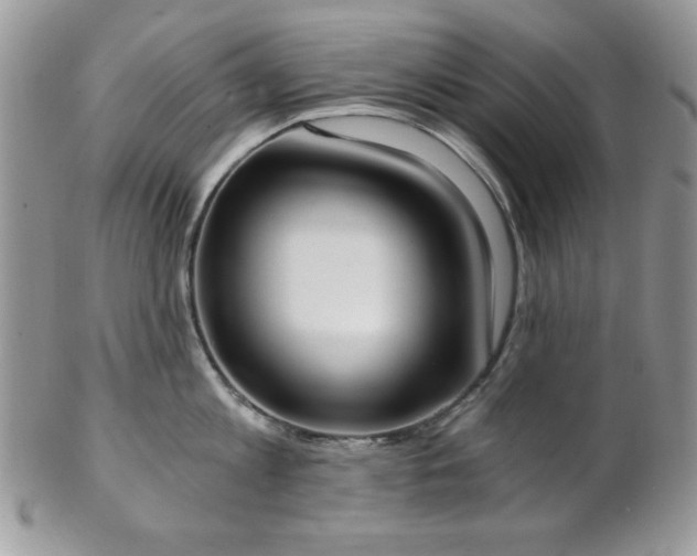 X0000102800813200808181159