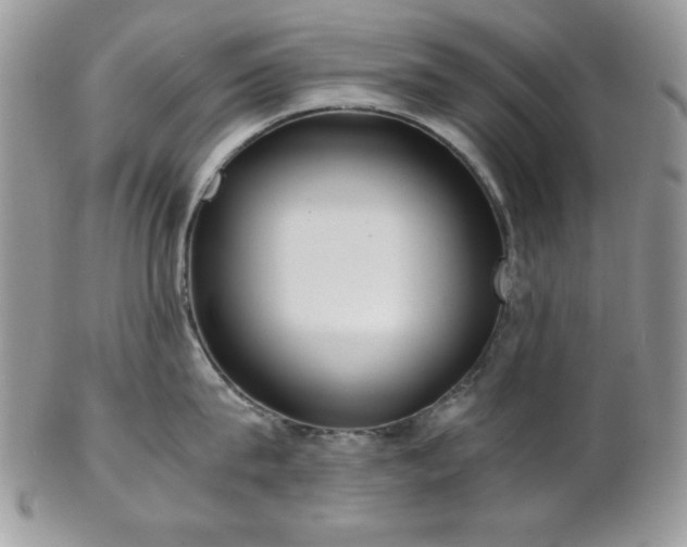 X0000102800815200808181159