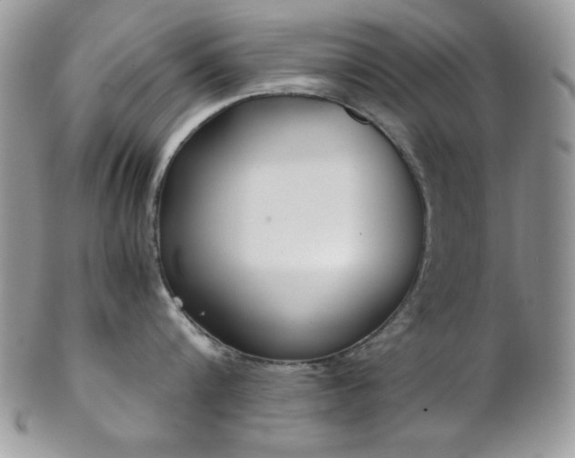 X0000102800816200808181159