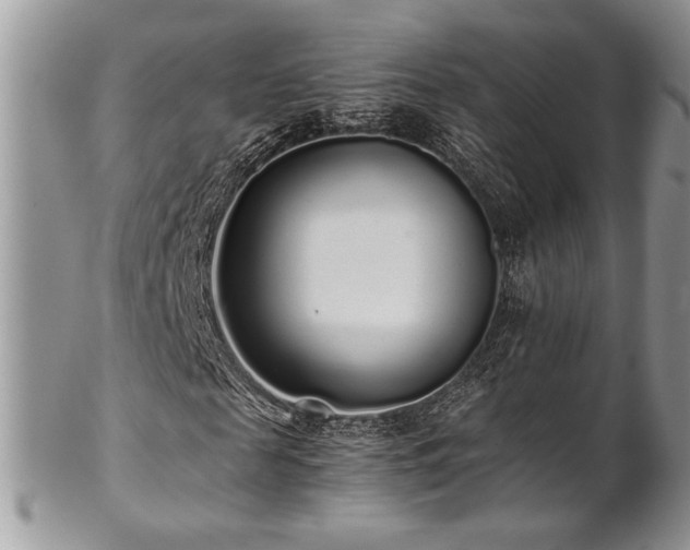 X0000102800817200808181158