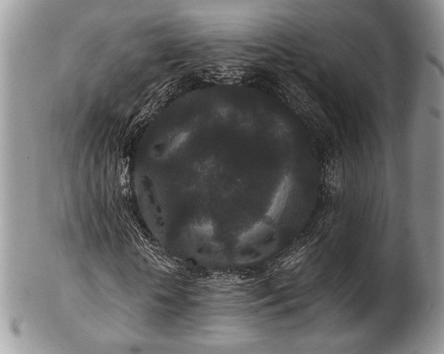X0000102800818200808181158