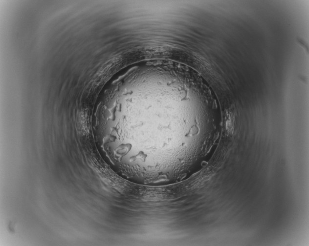 X0000102800819200808181158