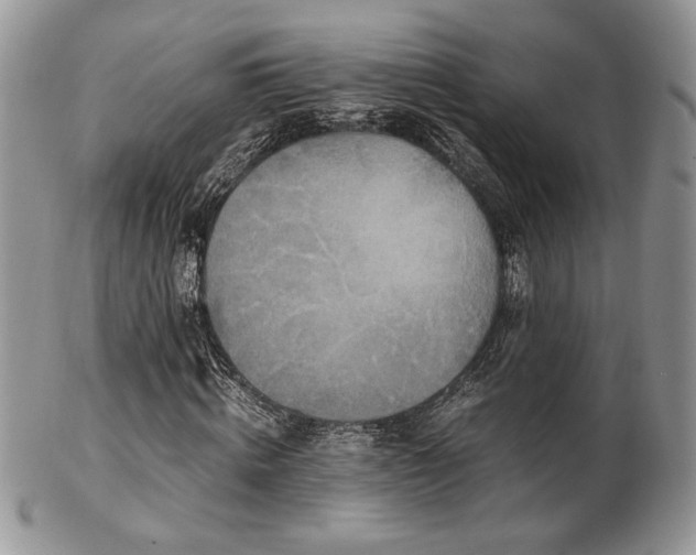 X0000102800820200808181158