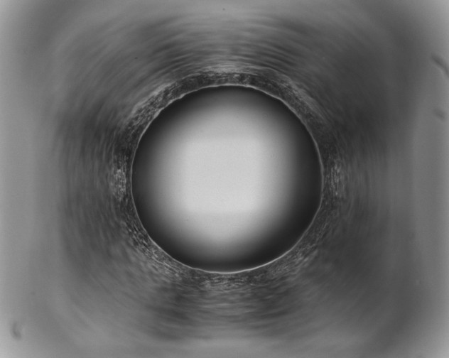 X0000102800821200808181159