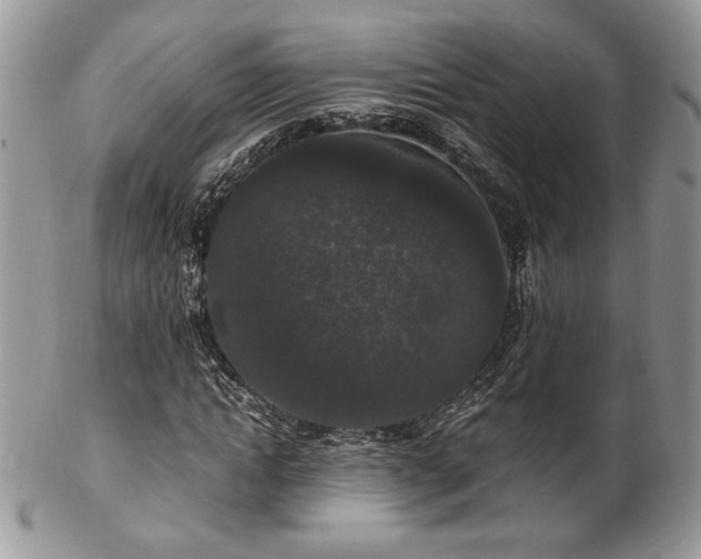 X0000102800822200808181159