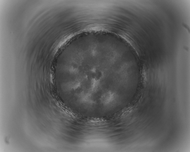 X0000102800823200808181159