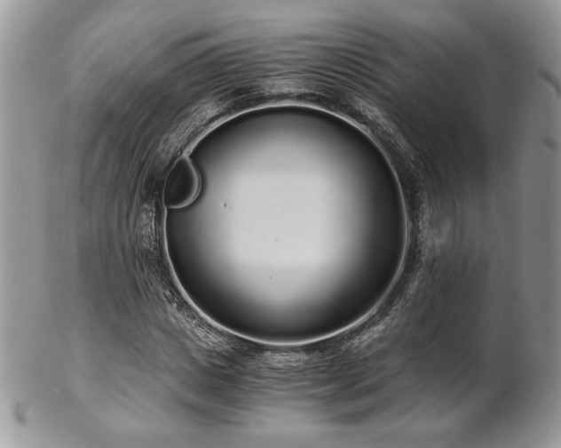 X0000102800825200808181159