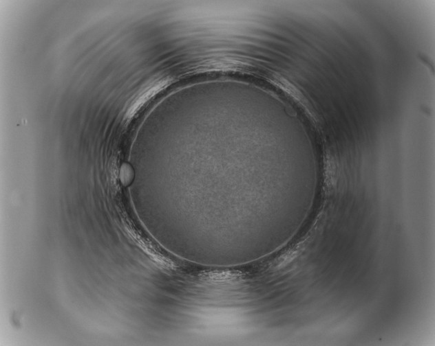 X0000102800826200808181159