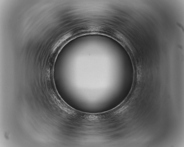 X0000102800827200808181159