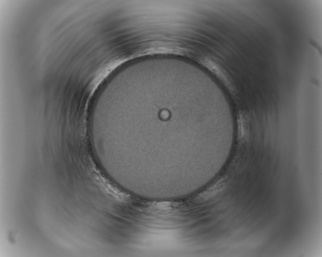 X0000102800828200808181159