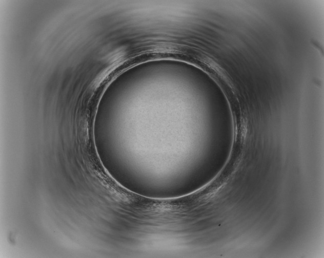 X0000102800829200808181159