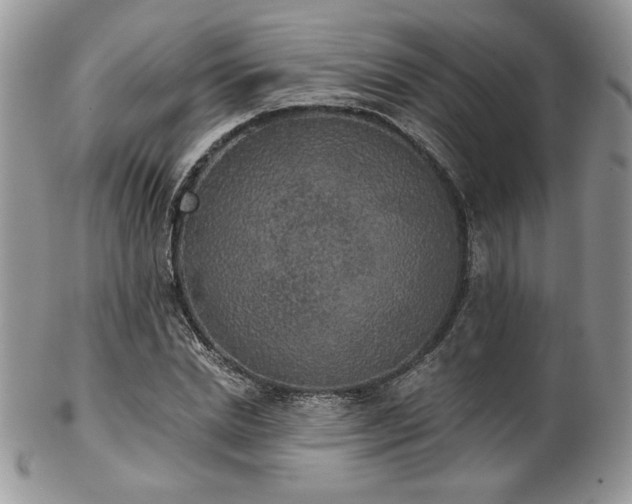 X0000102800830200808181159