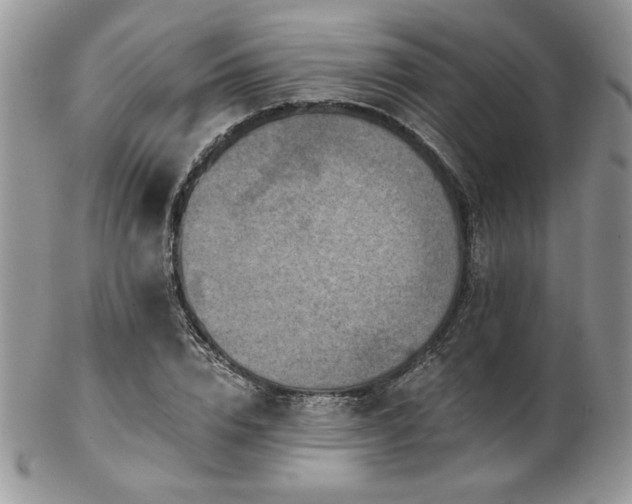 X0000102800832200808181159