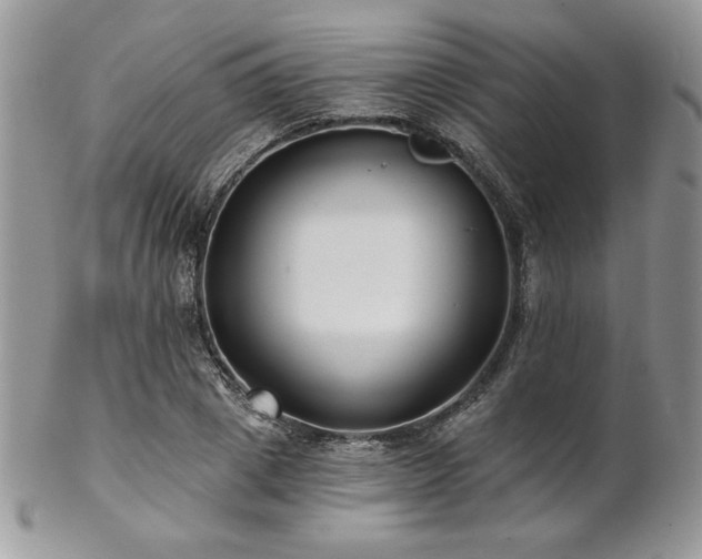 X0000102800833200808181159