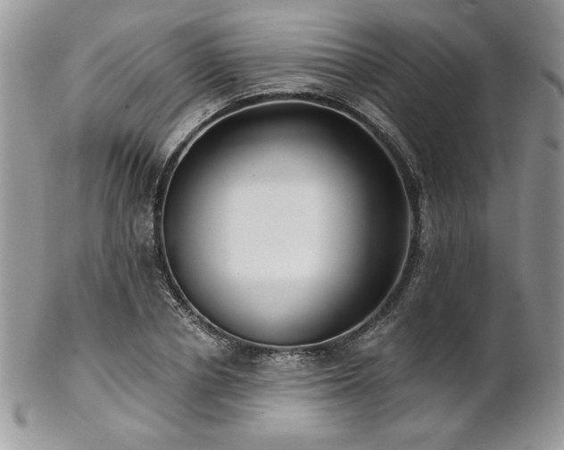 X0000102800834200808181159
