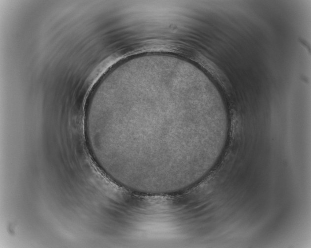 X0000102800836200808181159