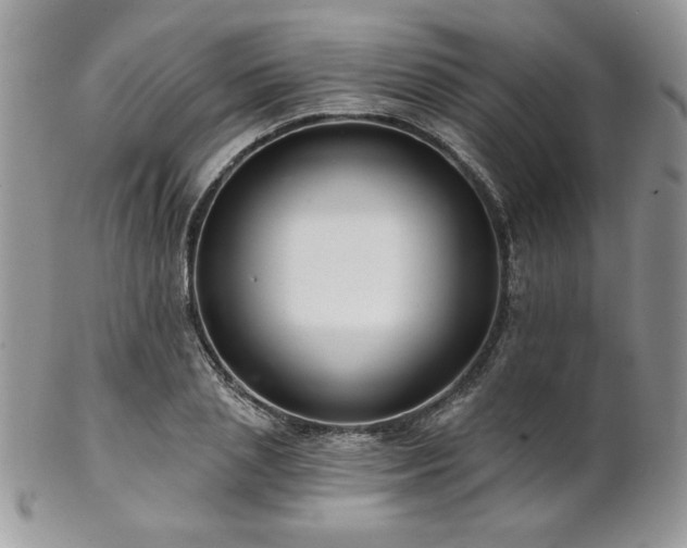 X0000102800837200808181159