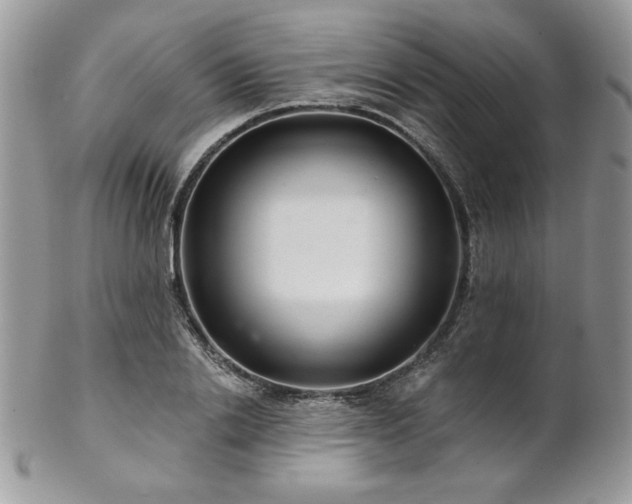 X0000102800838200808181159