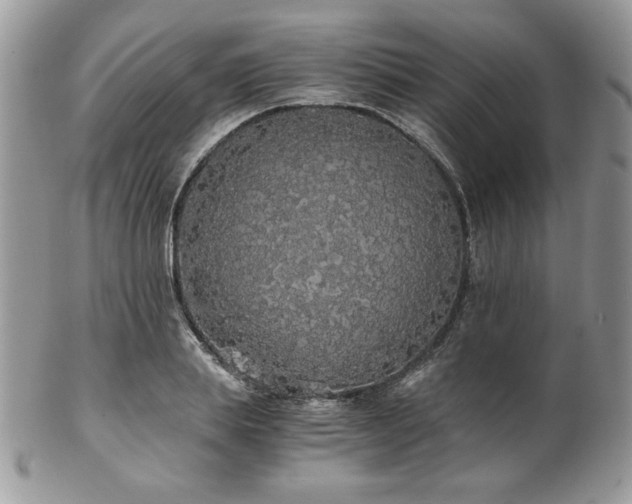 X0000102800839200808181159