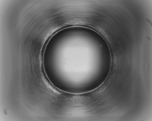X0000102800840200808181159