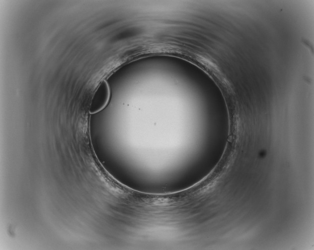 X0000102800841200808181159
