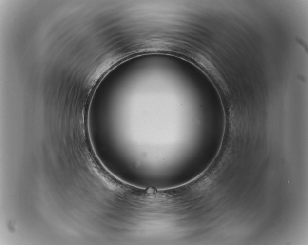 X0000102800842200808181159