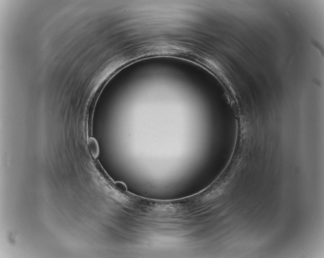 X0000102800843200808181159