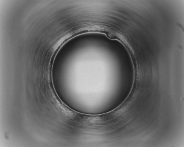 X0000102800845200808181159