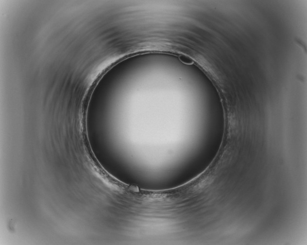 X0000102800846200808181159