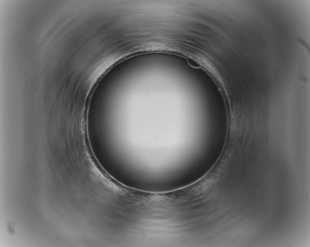 X0000102800847200808181159
