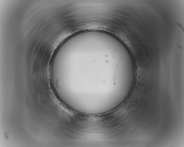 X0000102800848200808181159