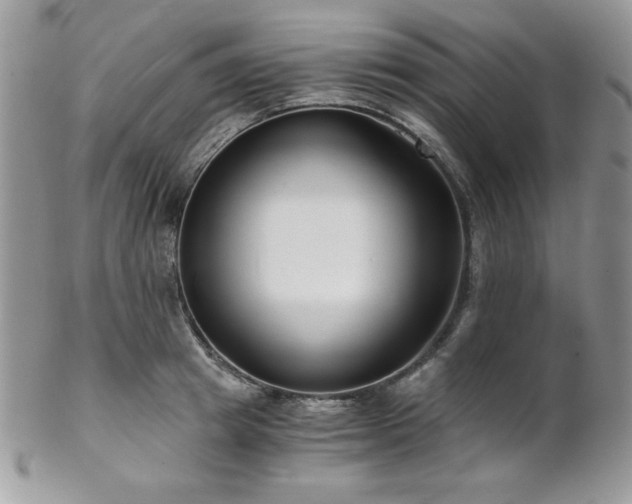 X0000102800849200808181159
