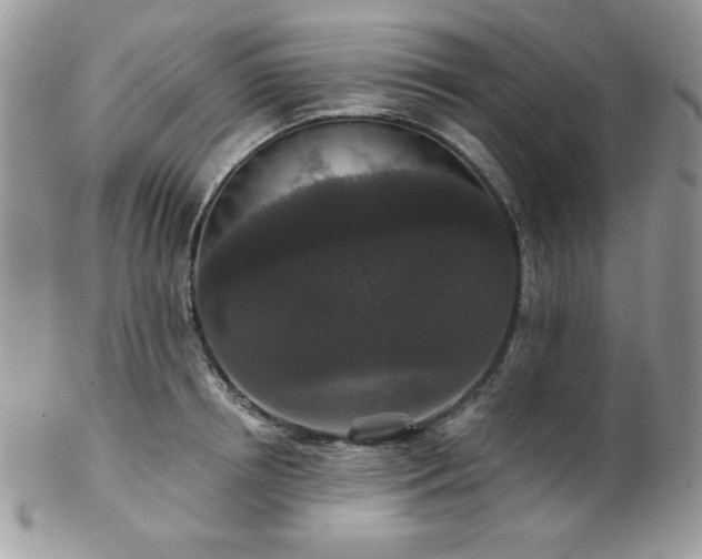 X0000102800850200808181159