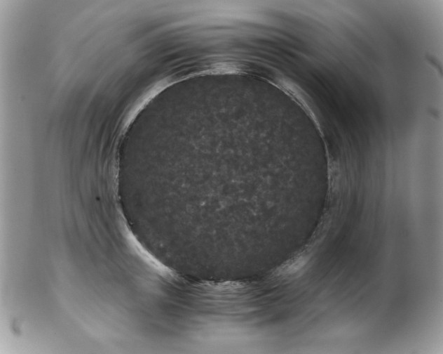 X0000102800851200808181159