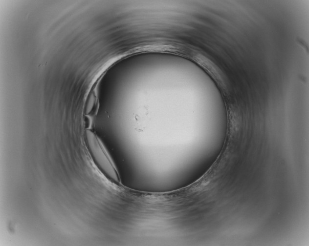 X0000102800852200808181159