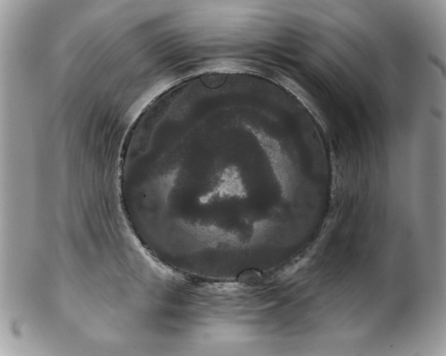 X0000102800853200808181159