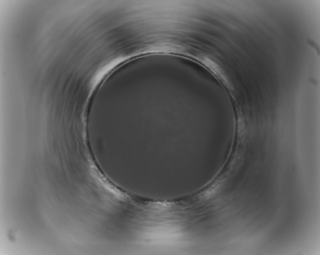 X0000102800854200808181159