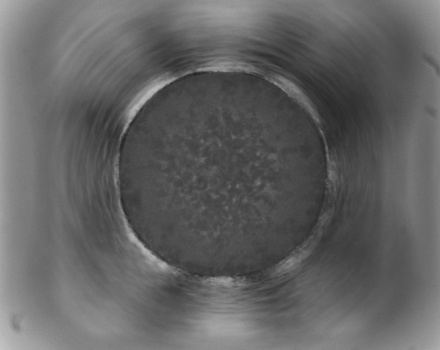 X0000102800855200808181159